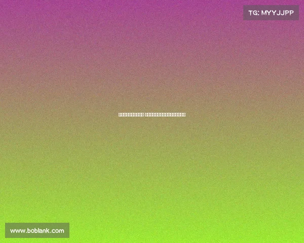 杨鸣谈全运资格赛压力 辽宁球员的家乡情怀与斗志激励前行